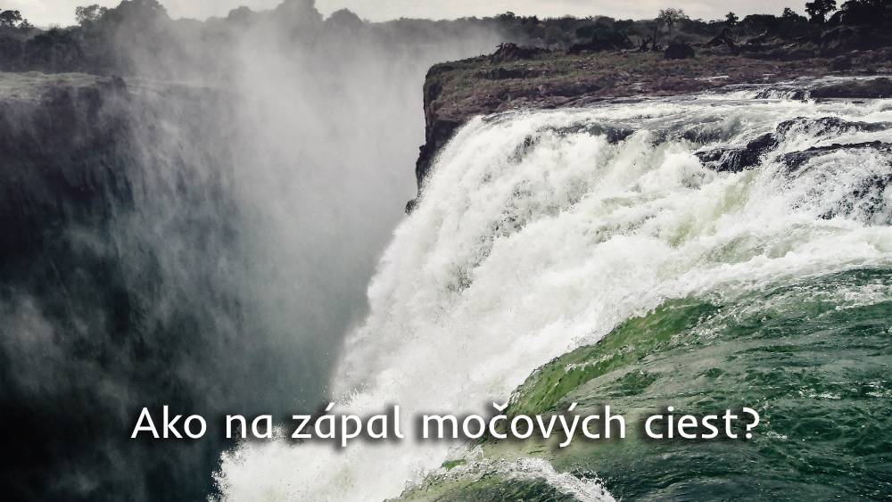 zápal močových cest