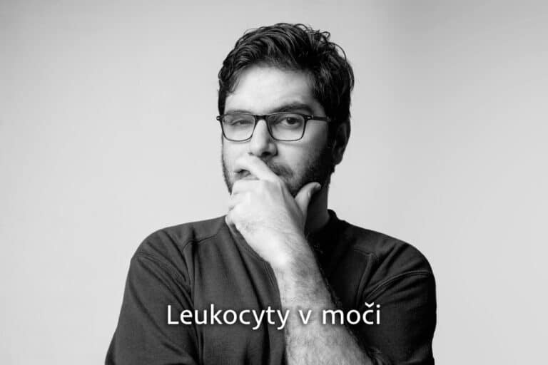 leukocyty v moči