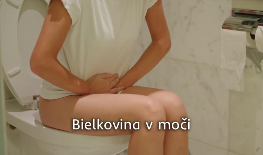 Bielkovina v moči